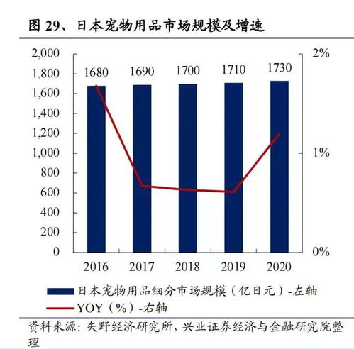 宠物用品市场深度调研,投资环境与机会分析 文末附完整报告下载